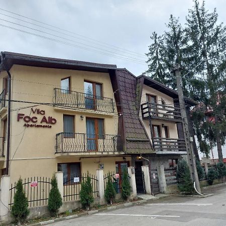 Vila Foc Alb Apartamente-Buşteni Eksteriør bilde