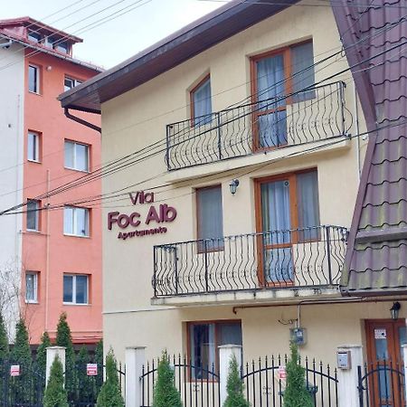 Vila Foc Alb Apartamente-Buşteni Eksteriør bilde