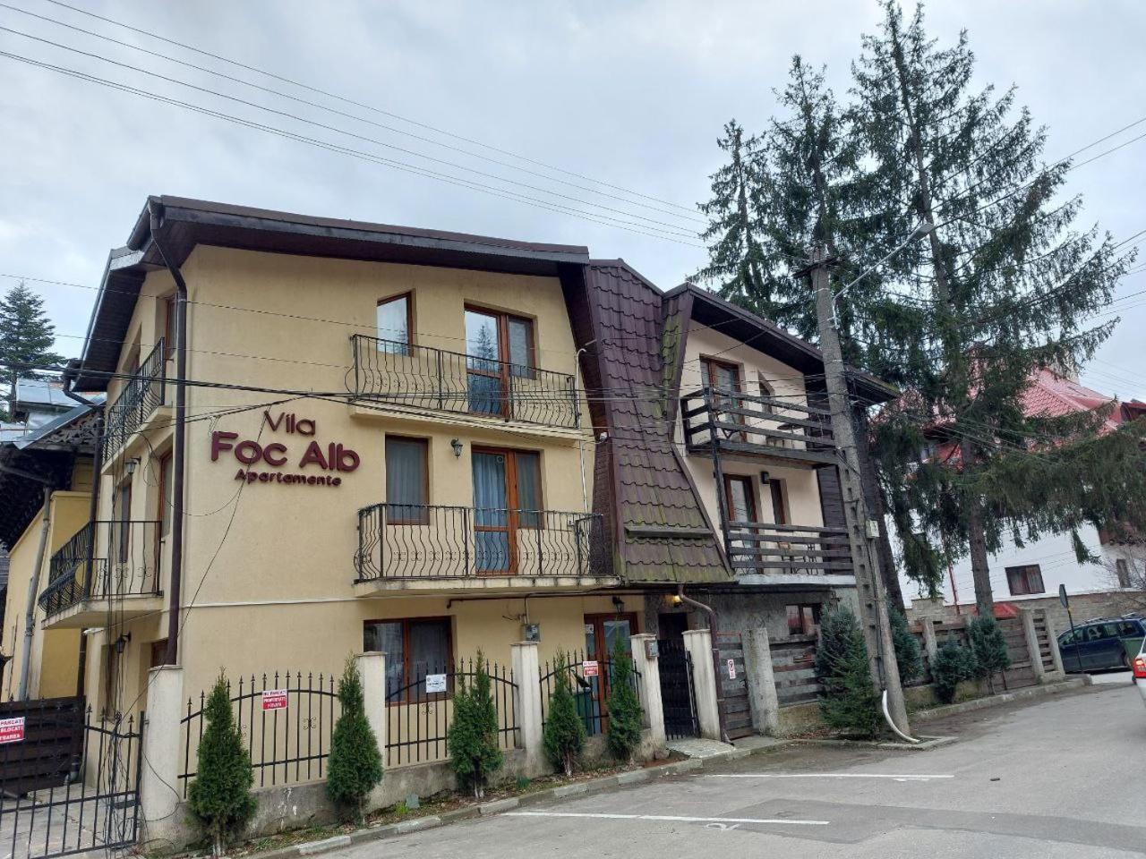 Vila Foc Alb Apartamente-Buşteni Eksteriør bilde