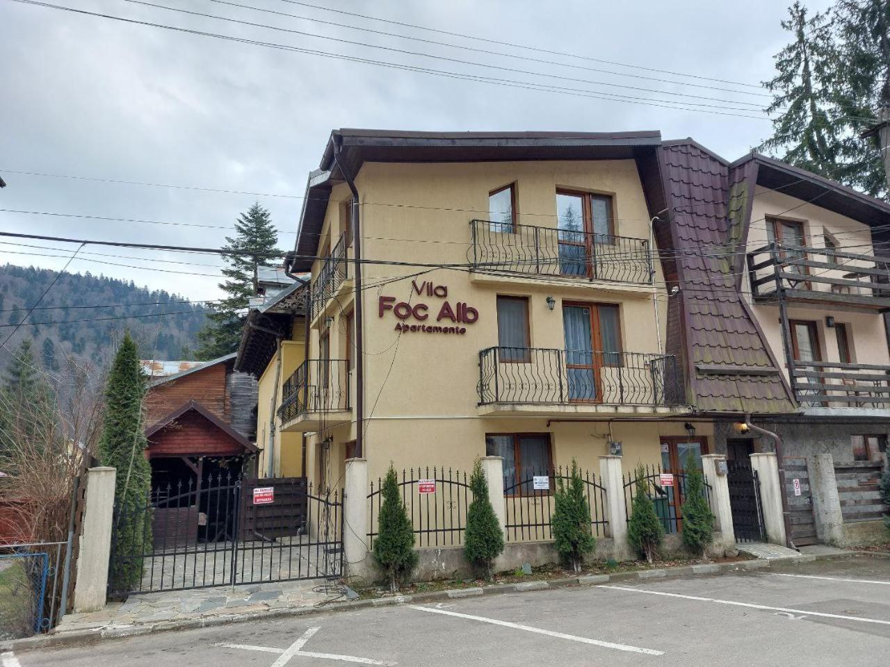 Vila Foc Alb Apartamente-Buşteni Eksteriør bilde
